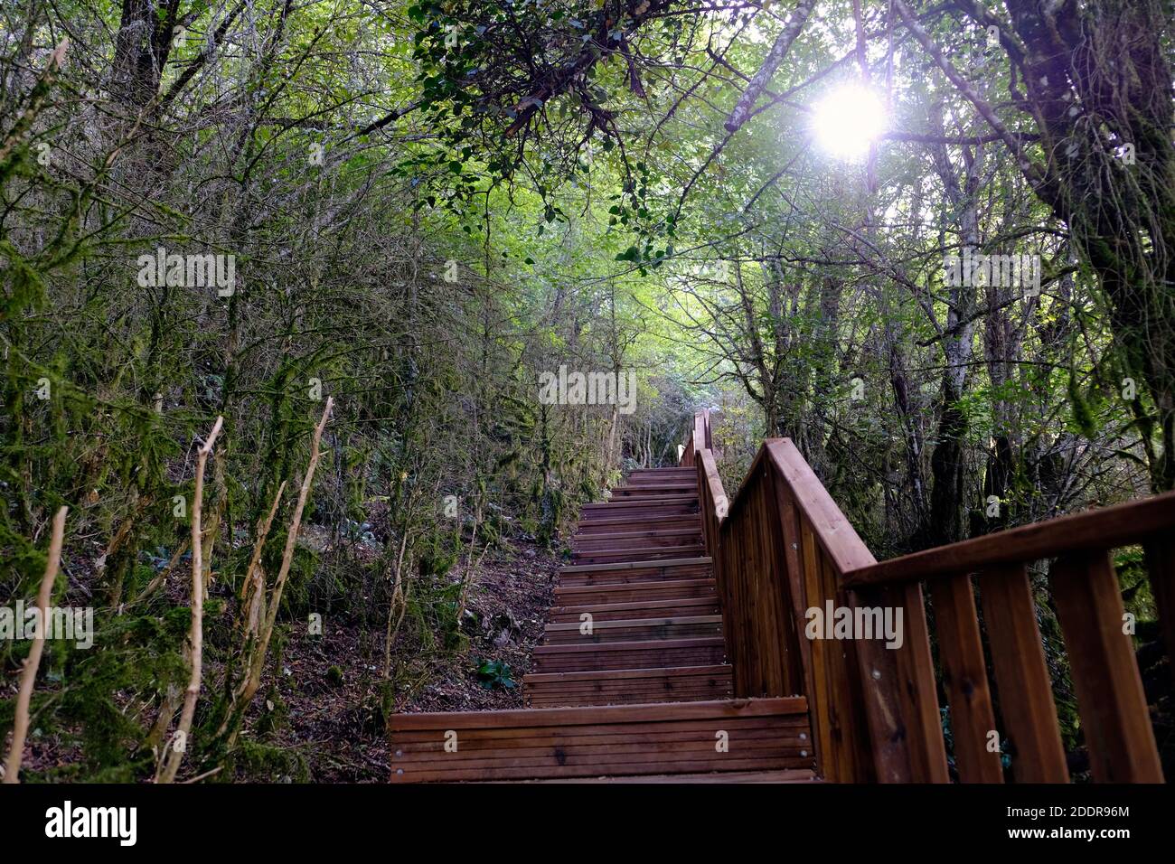 Horma Canyon. Die zweittiefste Schlucht der Welt befindet sich in der türkischen Schwarzmeerprovinz Kastamonu. Stockfoto