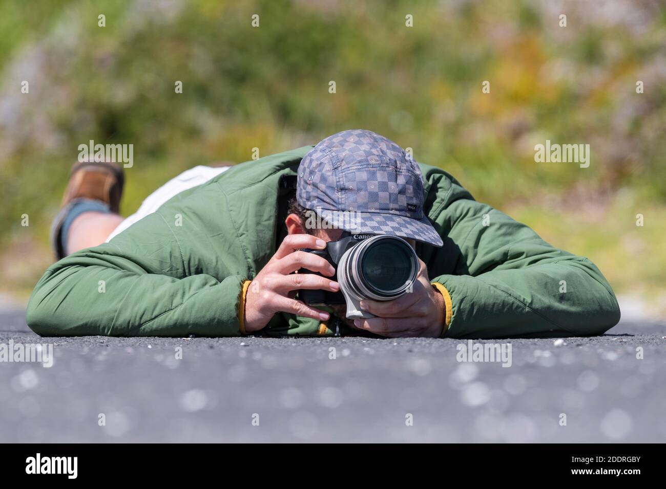 Ein Mann, der sich hinlegt, um Bilder von Wildtieren, Westkap, Südafrika zu bekommen Stockfoto