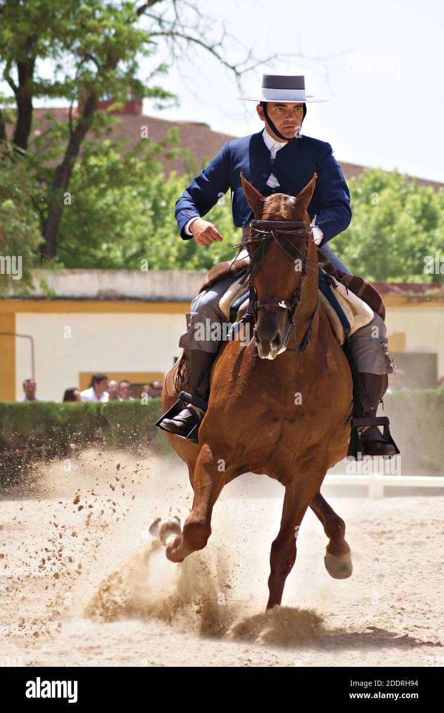 Nationaler Wettbewerb der traditionellen Doma Vaquera in Jerez de la Frontera, Spanien 2012 Stockfoto