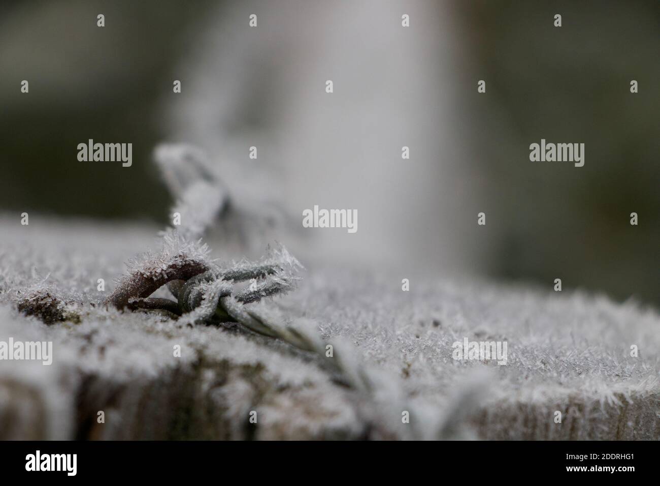 Gefrorener Stacheldraht auf einem alten Holzzaun. Winterliche Szene auf einem Bauernhof an einem eisigen Morgen. Einfrieren Zäune und Eiszaungeräte Stahl. Ruhig und friedlich. Stockfoto