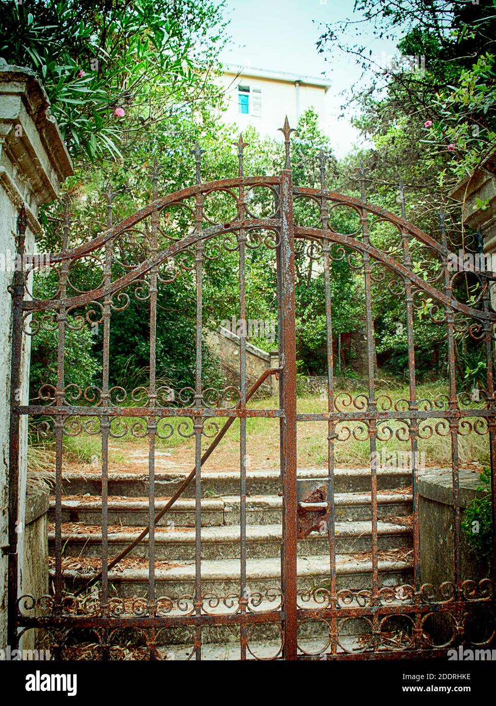 Frontales rostig eisernes Tor eines verlassenen Hauses umgeben von Bewachsener Garten Stockfoto