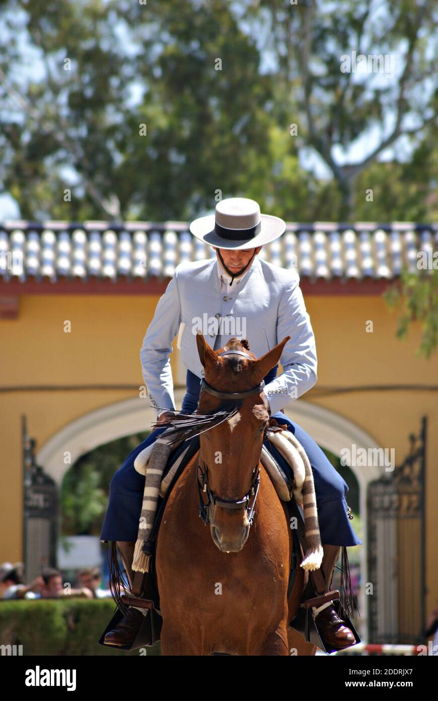 Nationaler Wettbewerb der traditionellen Doma Vaquera in Jerez de la Frontera, Spanien 2012 Stockfoto