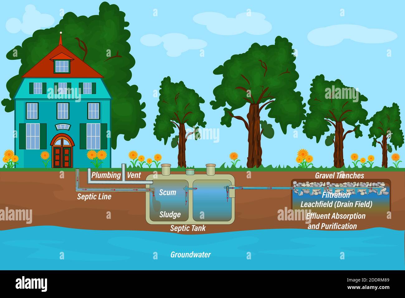 Home septischen System und Abfluss Feld Schema. Unterirdisches septisches System. Klärgrube für den Haushalt. Außerhalb der privaten Hause Kläranlage. Vektor Stock Vektor