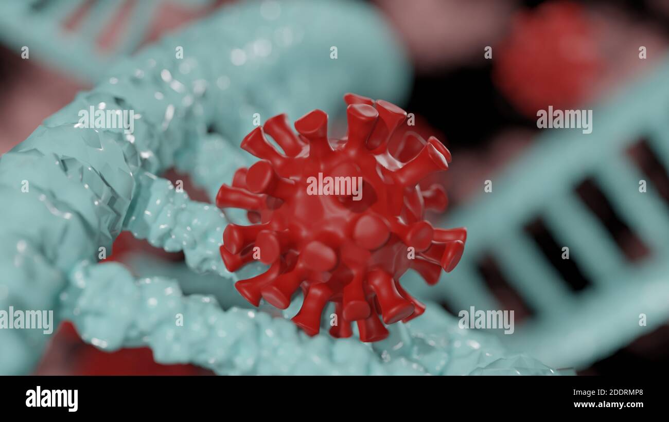 DNA-Antikörper gegen Coronavirus covid 19 als dna-Konzept in 3d-Illustration. Stockfoto