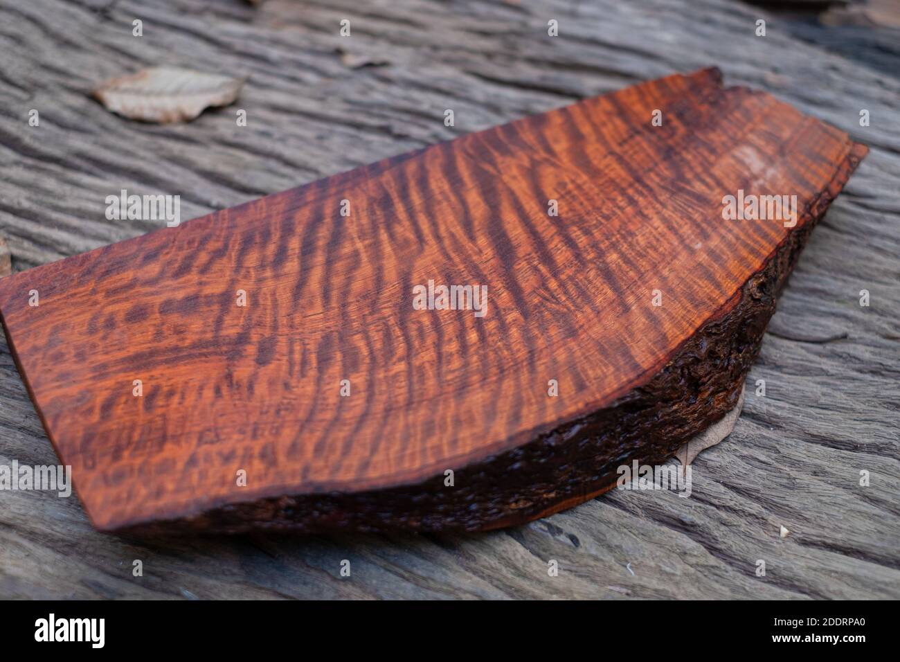 Birma Padauk Stockfotos und -bilder Kaufen - Alamy
