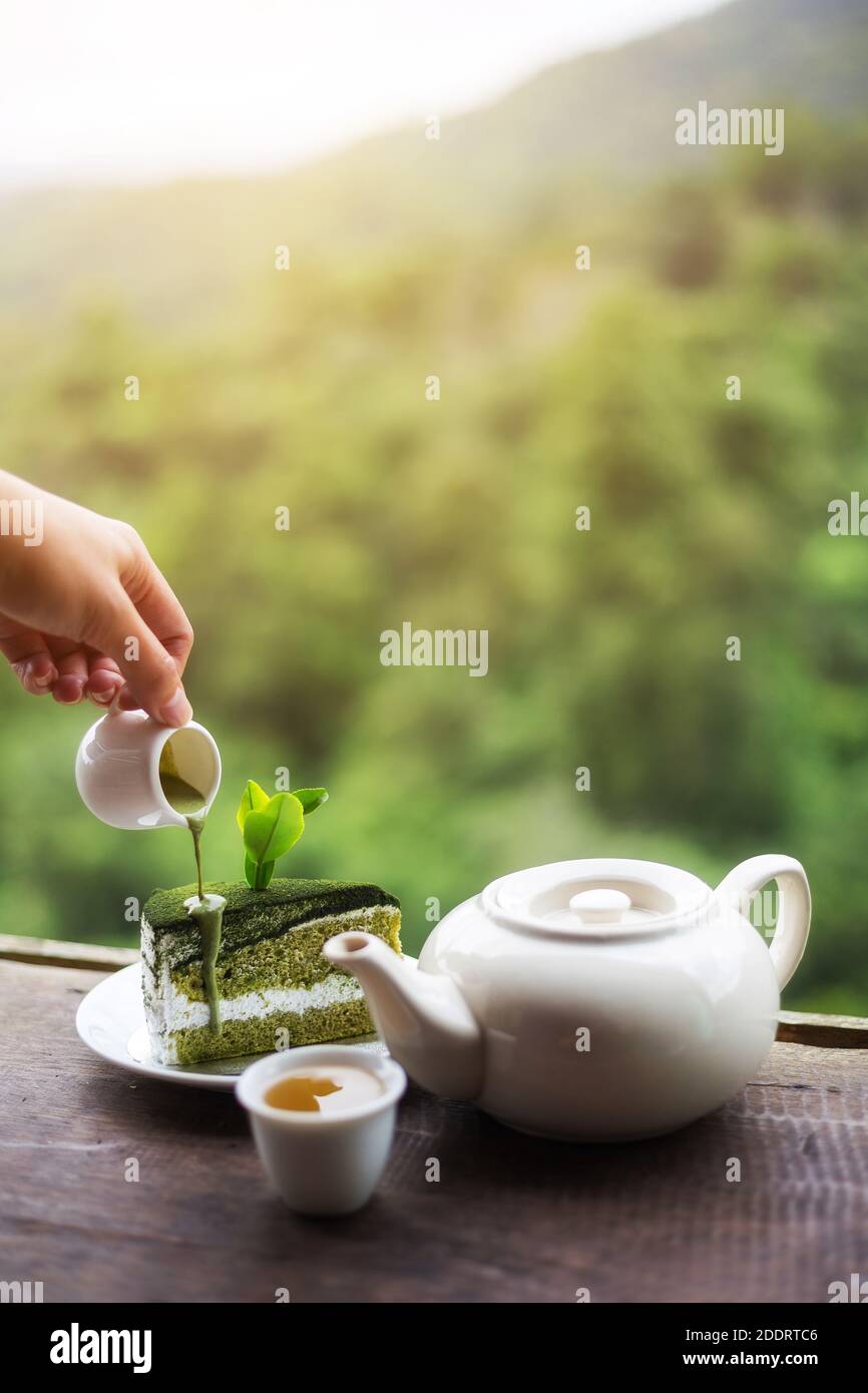 asiatische Frau Hand mit einer Tasse Tee auf Holz Am Tisch gab es eine wunderschöne Teeplantage und einen Berg im Morgens Stockfoto