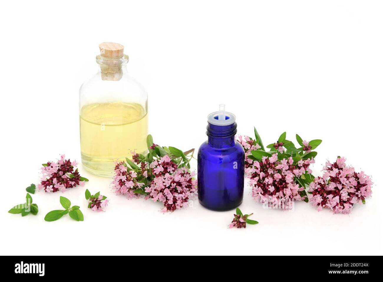 Oregano Kräuterblüten & Blätter mit ätherischen Ölflaschen. Verwendet in Aromatherapie und Kräutermedizin. Kann IBS-Symptome und entzündungshemmende lindern. Stockfoto