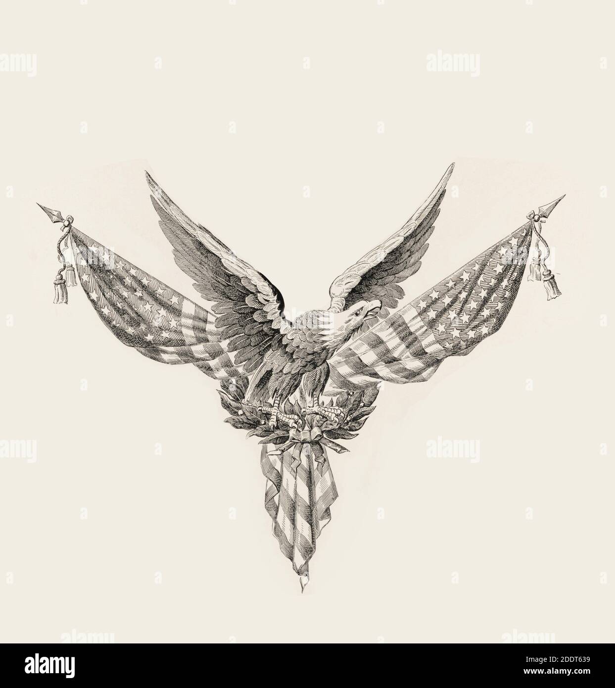 Antike Gravur von nordamerikanischem Weißkopfseeadler auf amerikanischen Flaggen Stockfoto