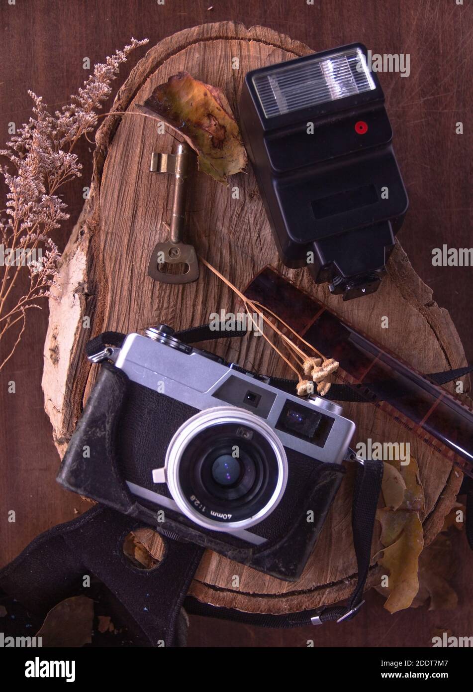 Vintage-Kamera mit alten Blitz, Schlüssel, negativ auf natürlichen Baum lo Stockfoto