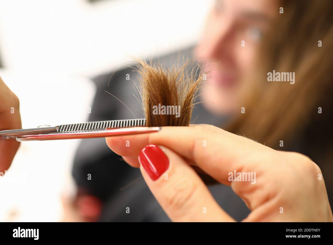 Friseursalon halten Haarsträhne in der Hand und schneiden einen Teil davon mit einer Schere. Stockfoto