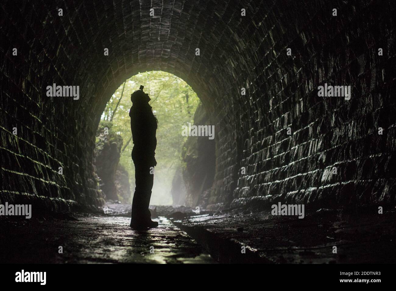 Dieser Bildner wurde in der Slowakei, Slawosowski Tunnel aufgenommen Stockfoto