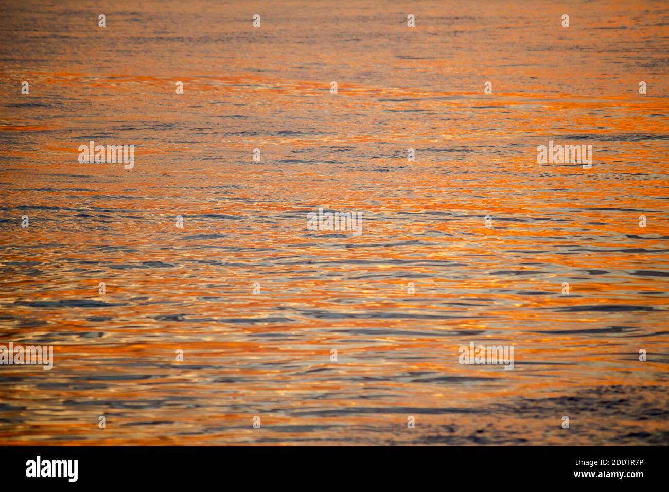 Nahaufnahme für Hintergrundmaterial der Meeresoberfläche Das leuchtet orange im Licht der untergehenden Sonne Stockfoto