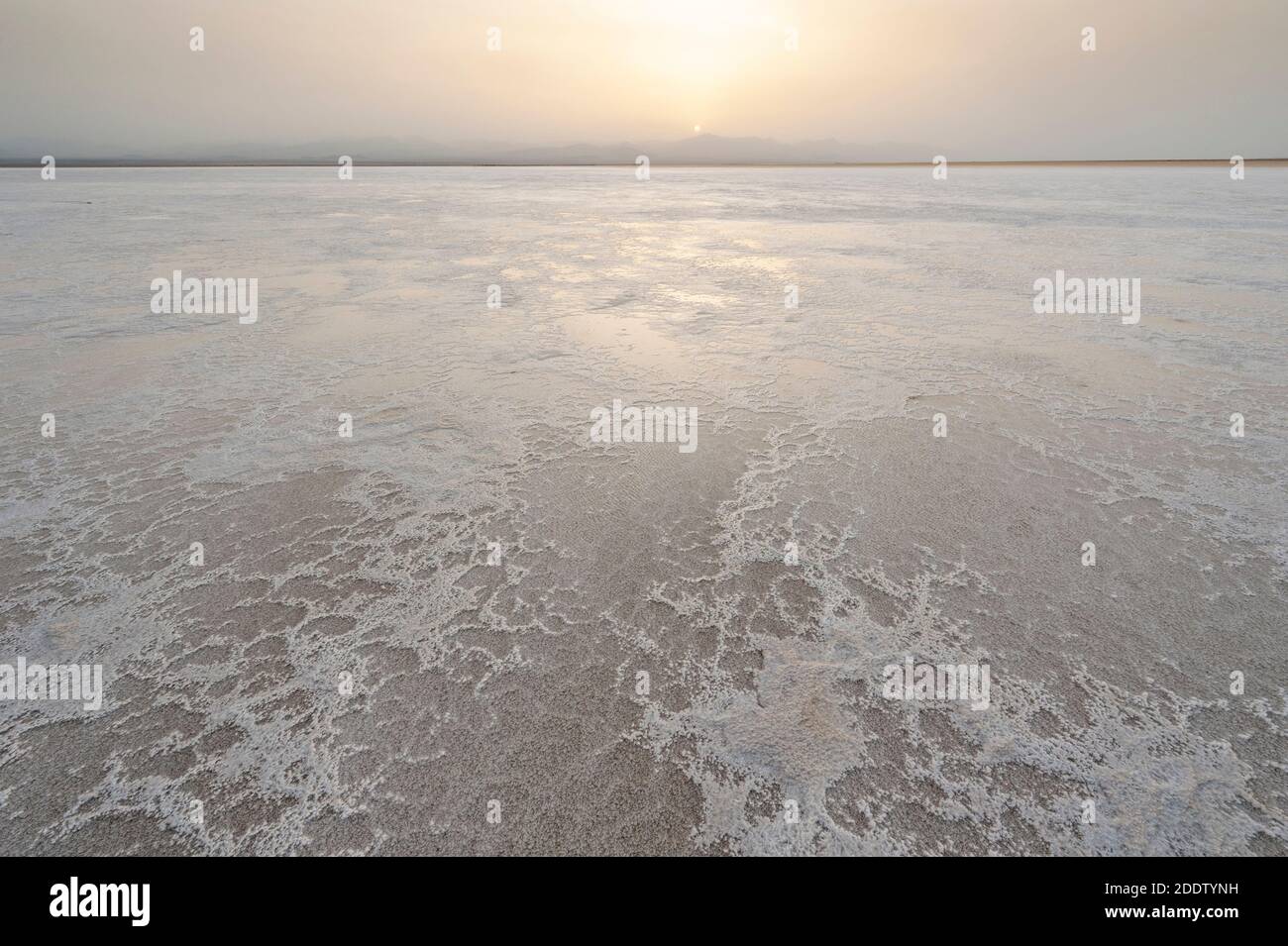 Lake Karum oder Lake Asale Hyper salzigen Salzsee in Die Danakil-Depression in der Afar-Region Nordäthiopiens Stockfoto