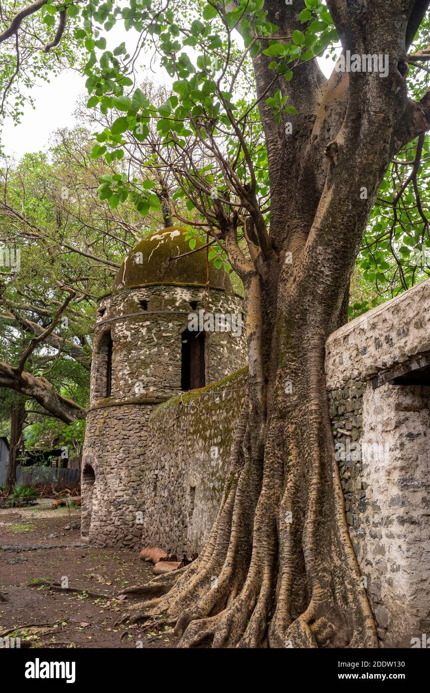 Fasilides Bad in Gondar oder Gonder, Amhara Bezirk, Äthiopien Stockfoto