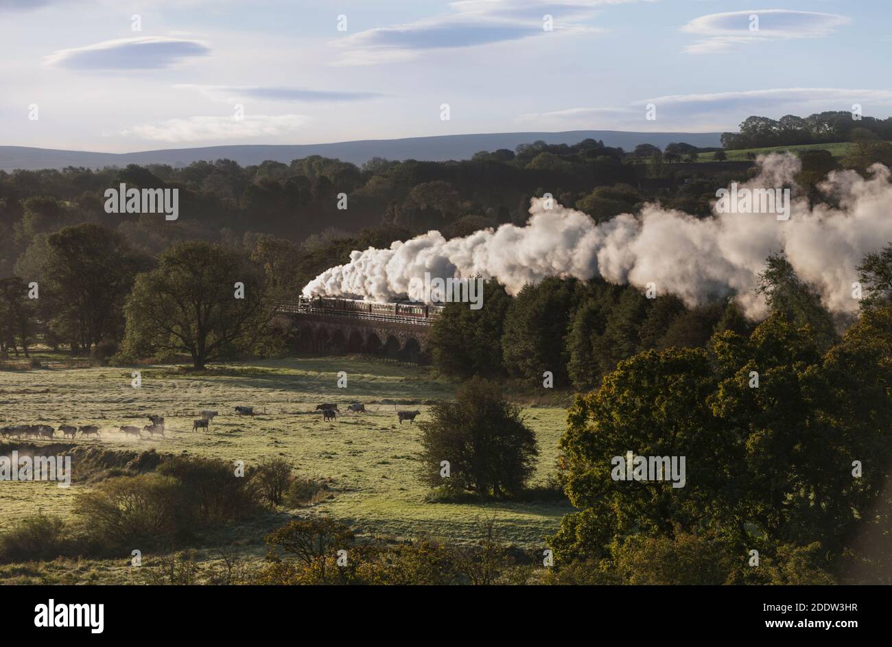 Westküstenbahnen Handelsnavy-Klasse Dampflokomotive 35018 vorbei Melling, Lancashire an einem Herbstmorgen mit einem Hauptdampfcharterzug Stockfoto