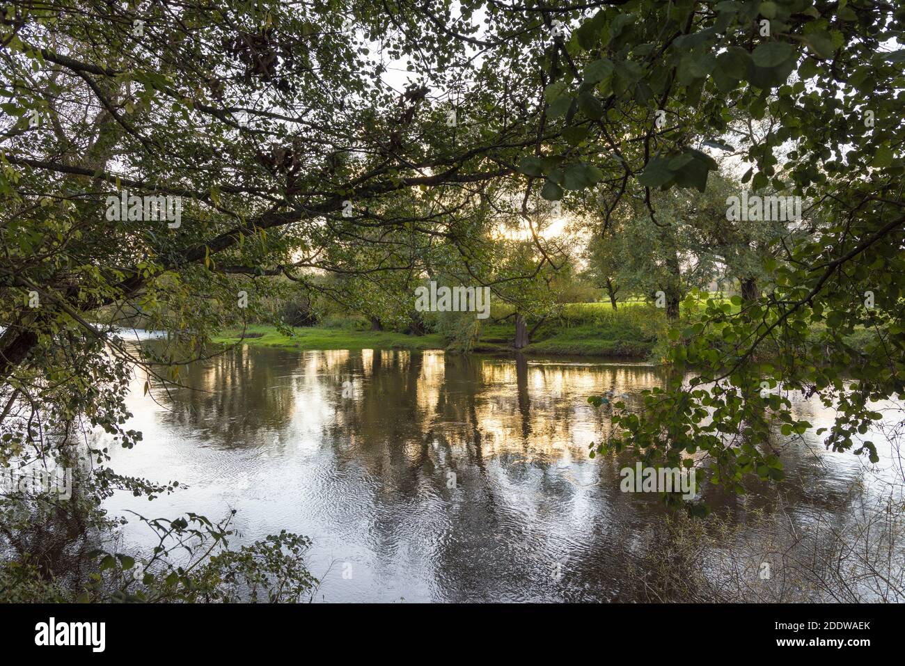 Reflexionen und Schatten auf dem Wasser am Fluss Usk bei Raglan, Wales, Großbritannien Stockfoto
