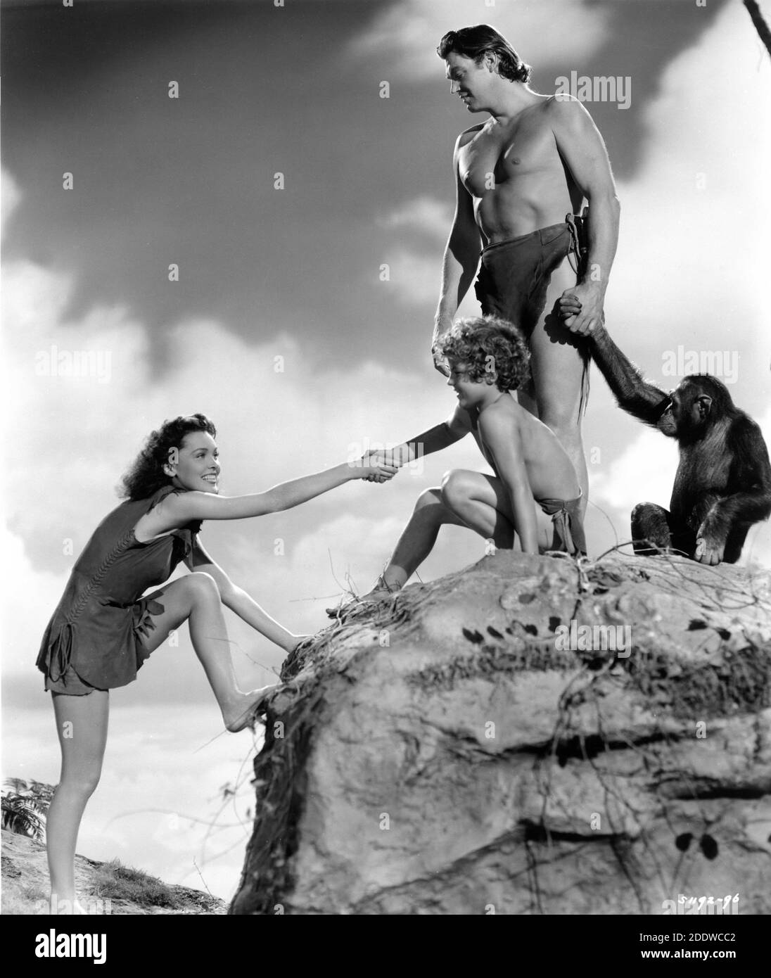 MAUREEN O'SULLIVAN JOHNNY SHEFFIELD JOHNNY WEISSMULLER UND CHEETAH THE CHIMPANZEE Publicity Portrait von CLARENCE SINCLAIR STIER für TARZANS GEHEIMEN SCHATZ 1941 Regisseur RICHARD THORPE nach Figuren von Edgar Reis Burroughs Metro Goldwyn Mayer Stockfoto