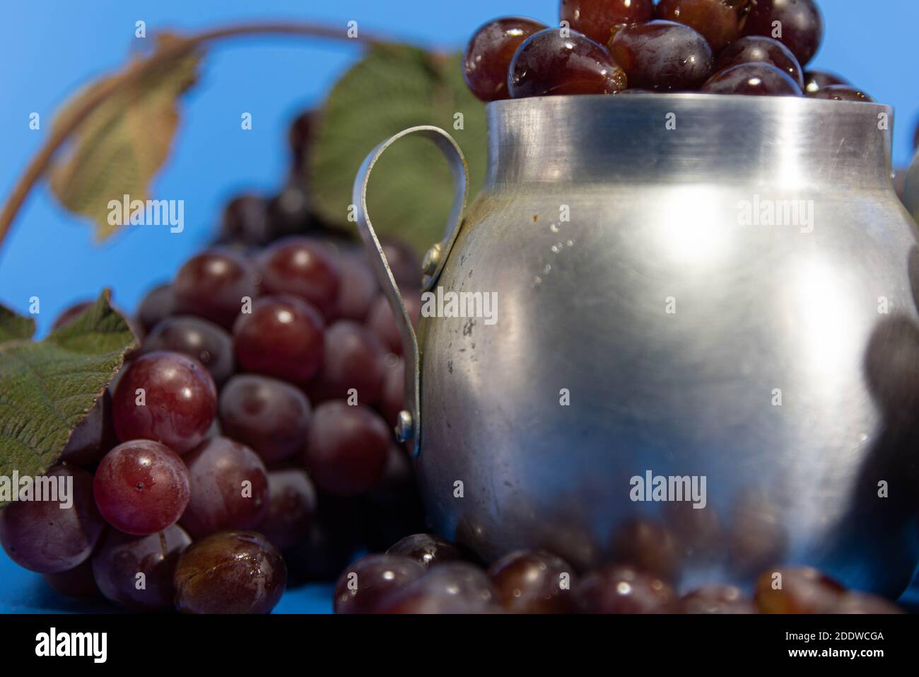 Frische Traubenfrüchte und Beeren. Blauer Hintergrund . Zutat für Säfte und Wein. Traubenbeeren in Aluminium. Stockfoto