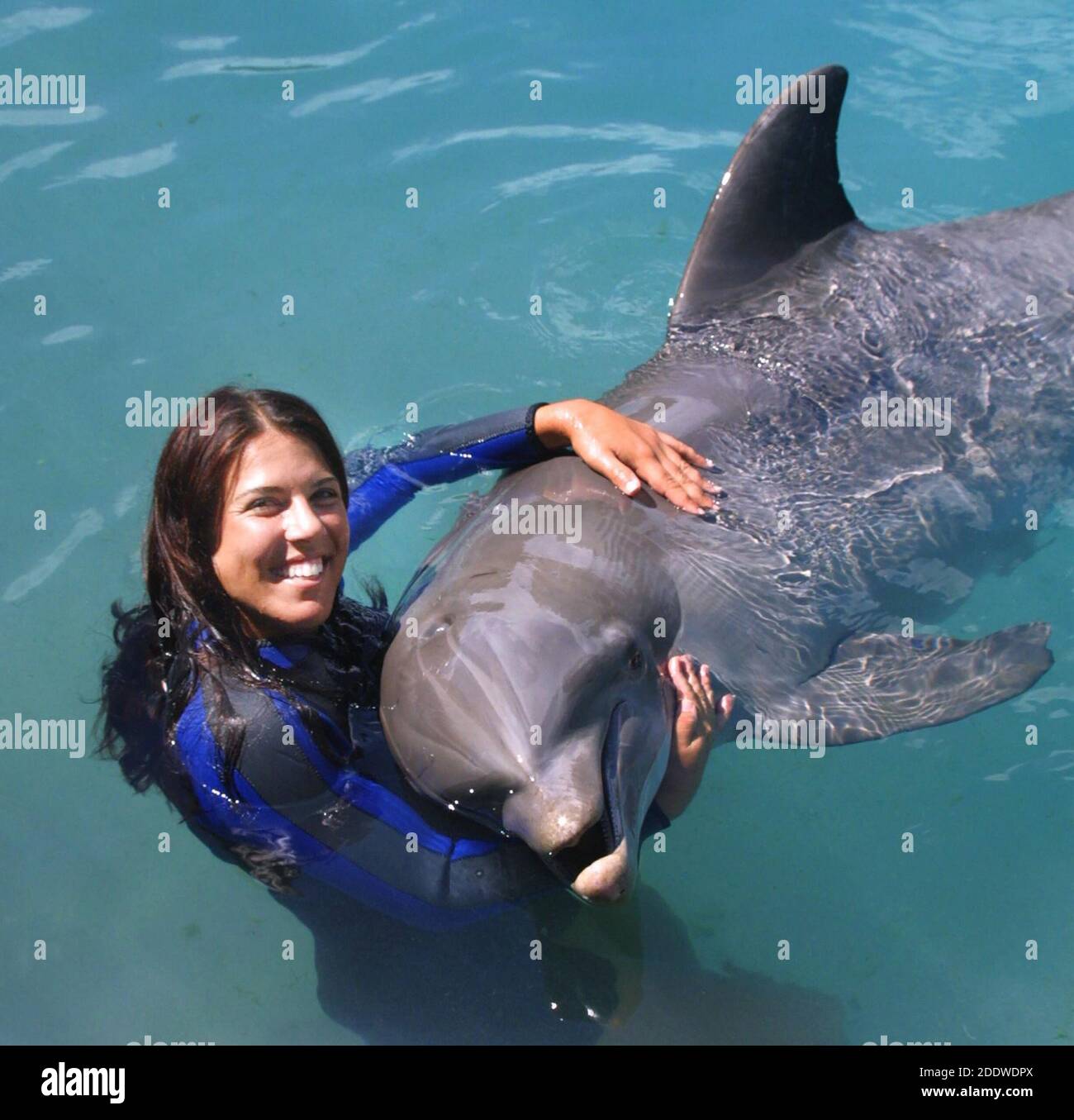 Key Biscayne, FL 3-19-2002 Jennifer Capriati (#1 Tennis Seed für Frauen) schwimmt mit den Delfinen im Miami Sequarium. Foto von Adam Scull/PHOTOlink Stockfoto