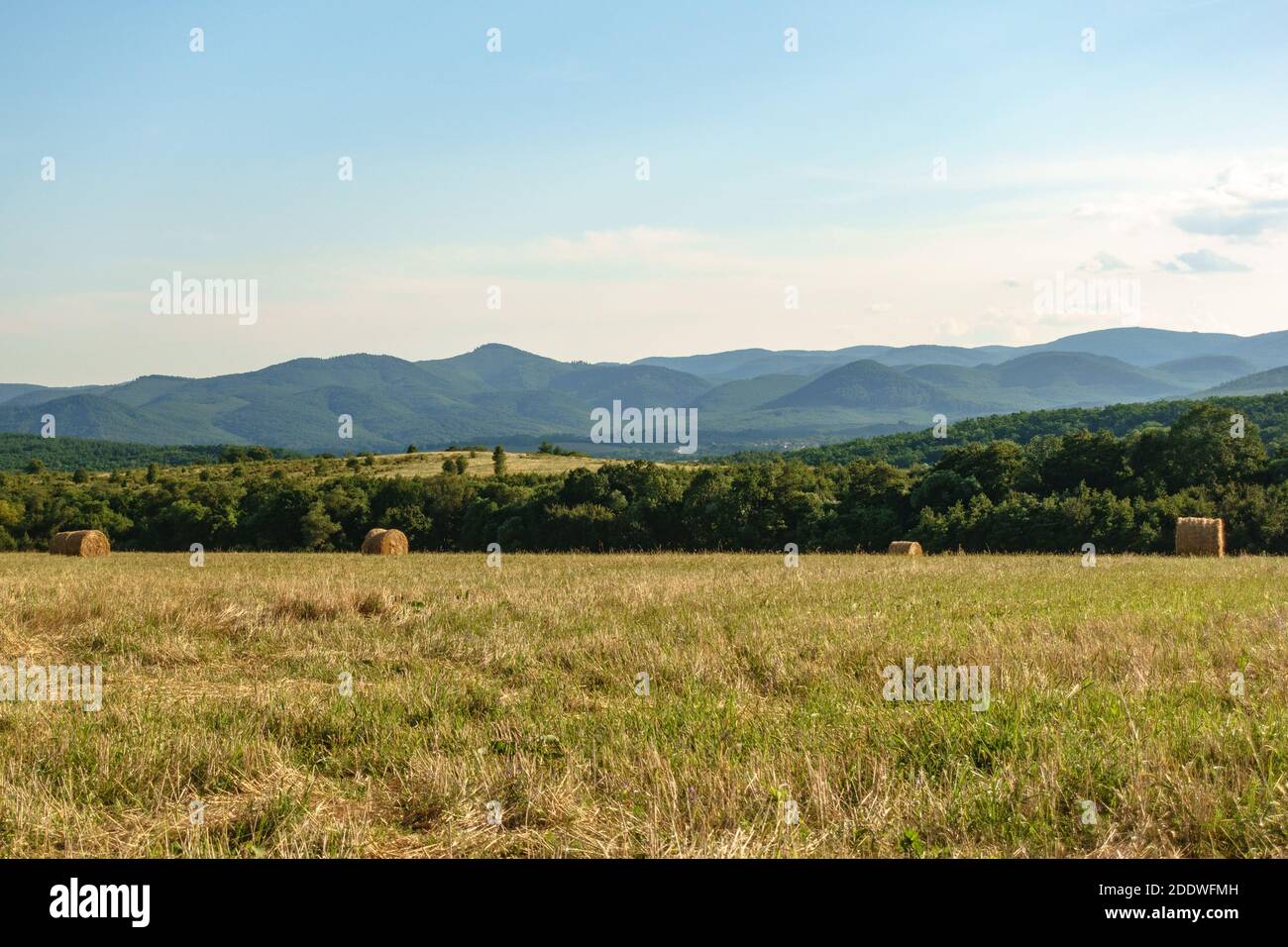 Heuballen auf einem Feld in Fuzer, Nordungarn Stockfoto