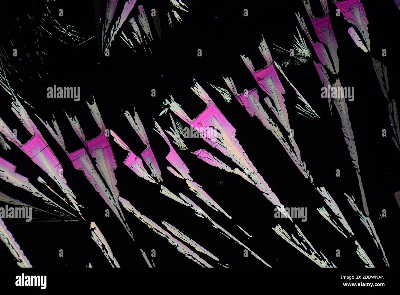 Kristalle von platino Cyanid von Yttrium unter dem Mikroskop mit polarisierten Leicht Stockfoto