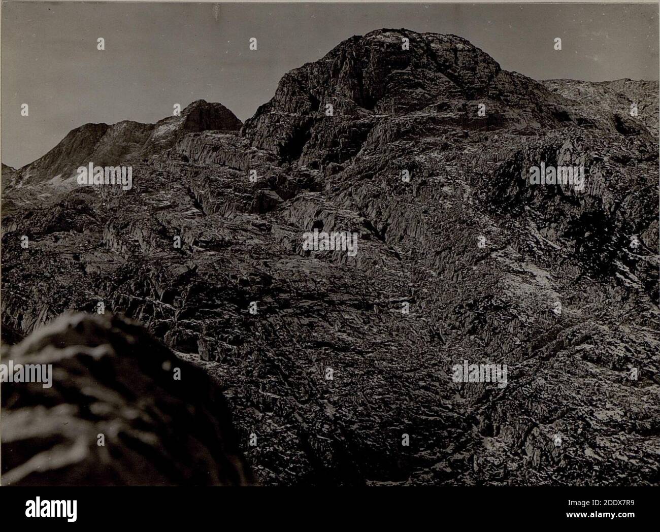 Rechter flugel -Fotos und -Bildmaterial in hoher Auflösung – Alamy