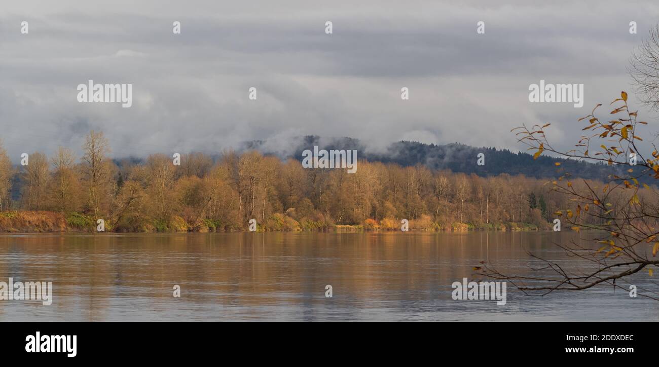 Herbst ländliche Naturlandschaft mit ruhigen Flusswasser spiegelt gelbe Bäume und trockenes Gras in bewölkten Tag. Reisefoto, selektiver Fokus, niemand. Stockfoto