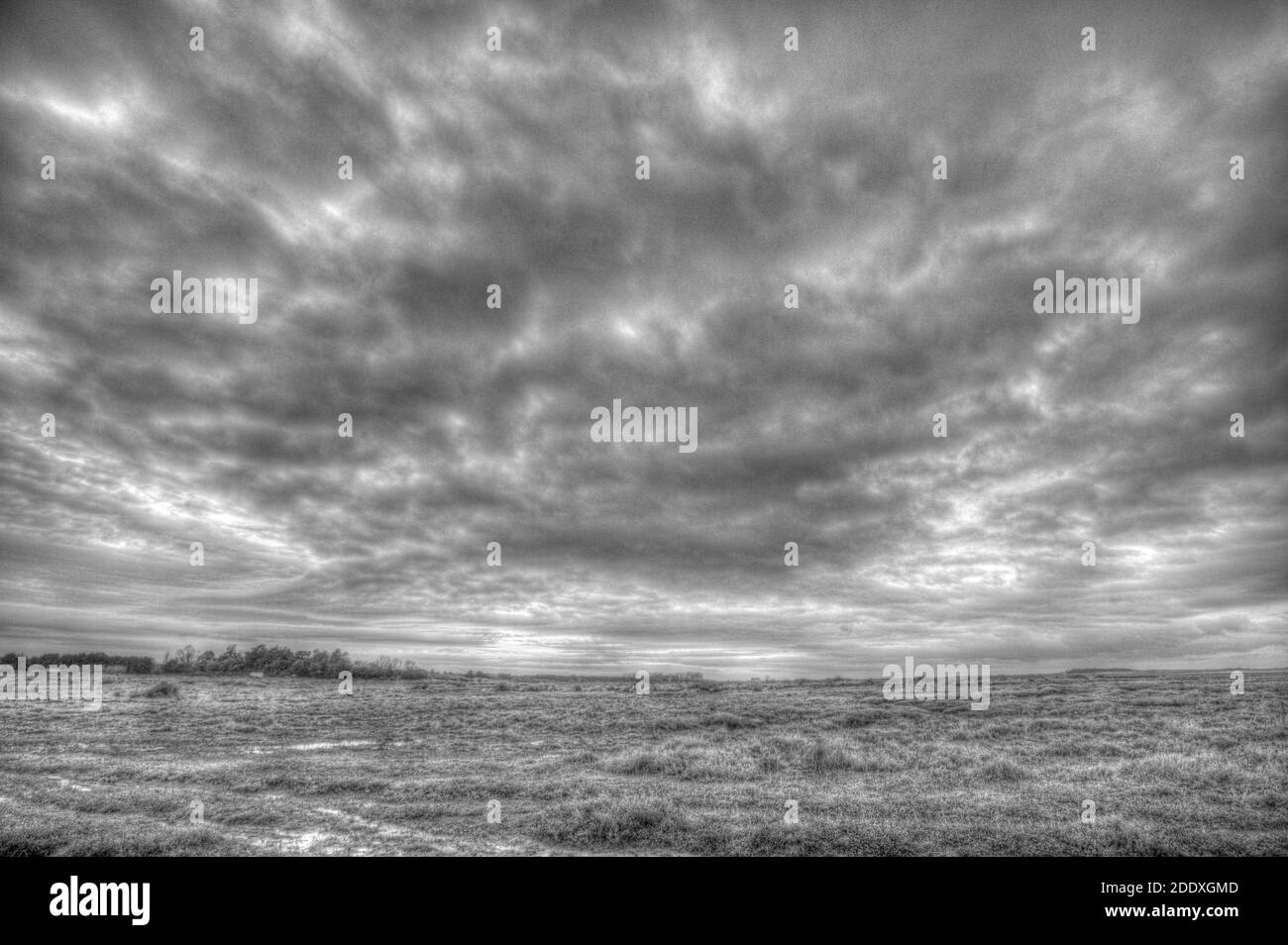 Creek und Saltsmarsh, Thornham Marsh, Norfolk. Stockfoto