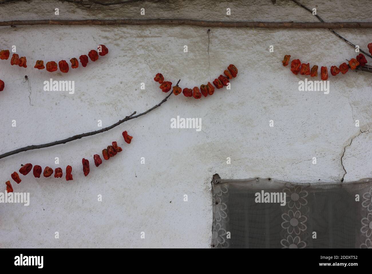 Gesunde natürliche traditionelle getrocknete Gemüse hängen an ländlichen Dorfhaus Wand. Rote Tomate zum Trocknen aufgehängt. Kulturelle Küche mit hellen Farben. Stockfoto