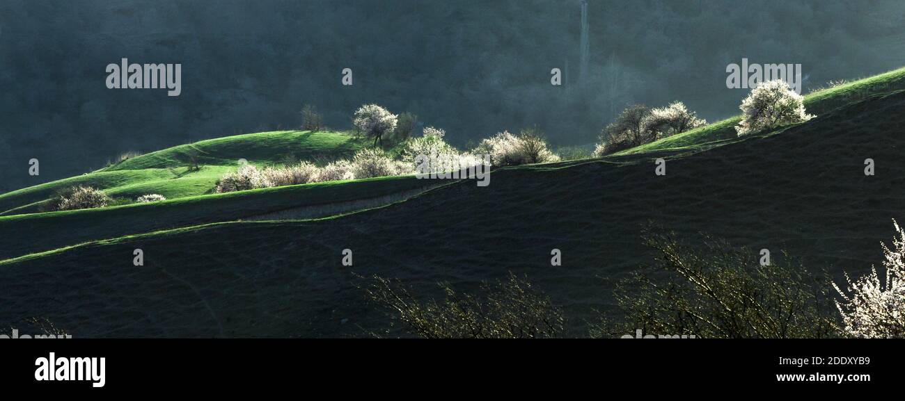 Die Landschaft in Xinjiang Stockfoto