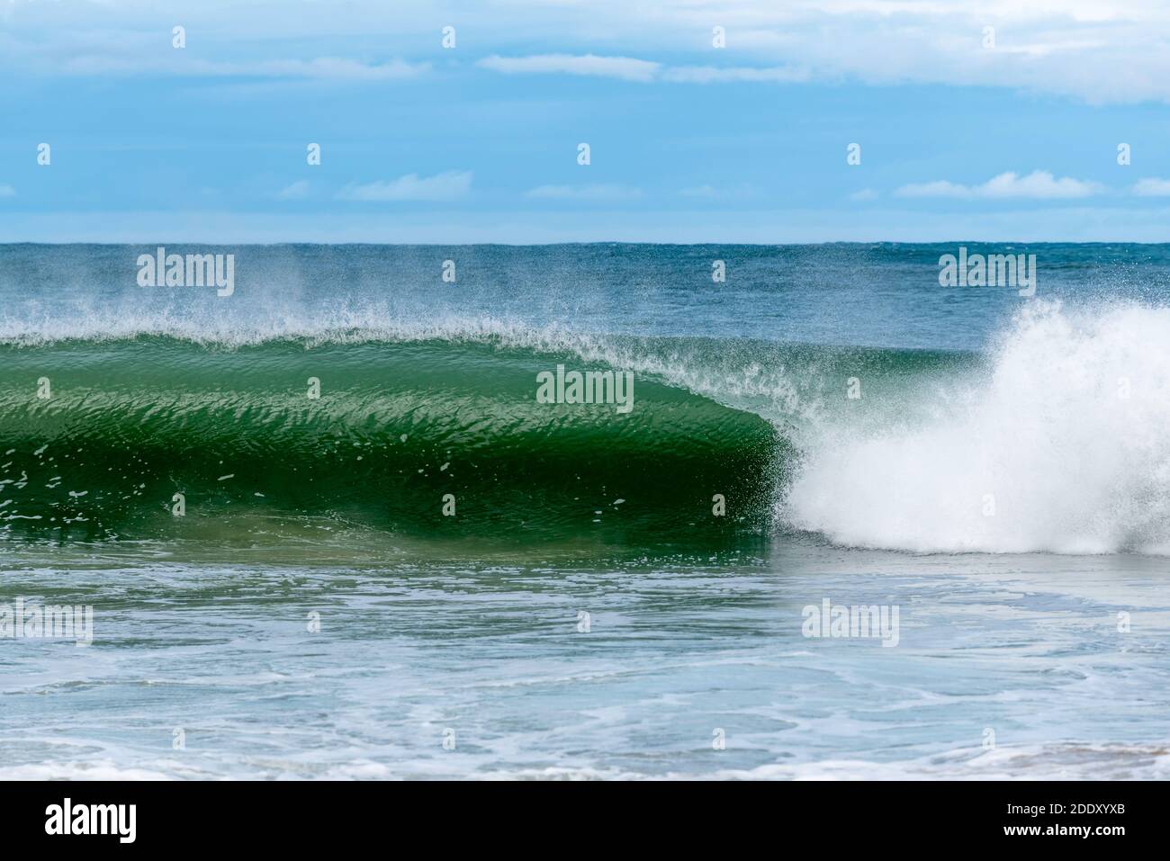 Eine große grüne Welle bricht in der Nähe des Ufers und des Ostküstenstrandes in New South Wales, Australien, während Windstöße vom Wellenkamm absprühen Stockfoto