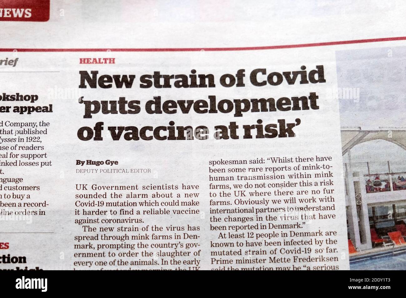 „Neuer Covid-Stamm gefährdet die Entwicklung eines Impfstoffs“ Pandemie Gesundheitskrise i Zeitung Schlagzeile Artikel innerhalb Seite in London England 2020 Stockfoto