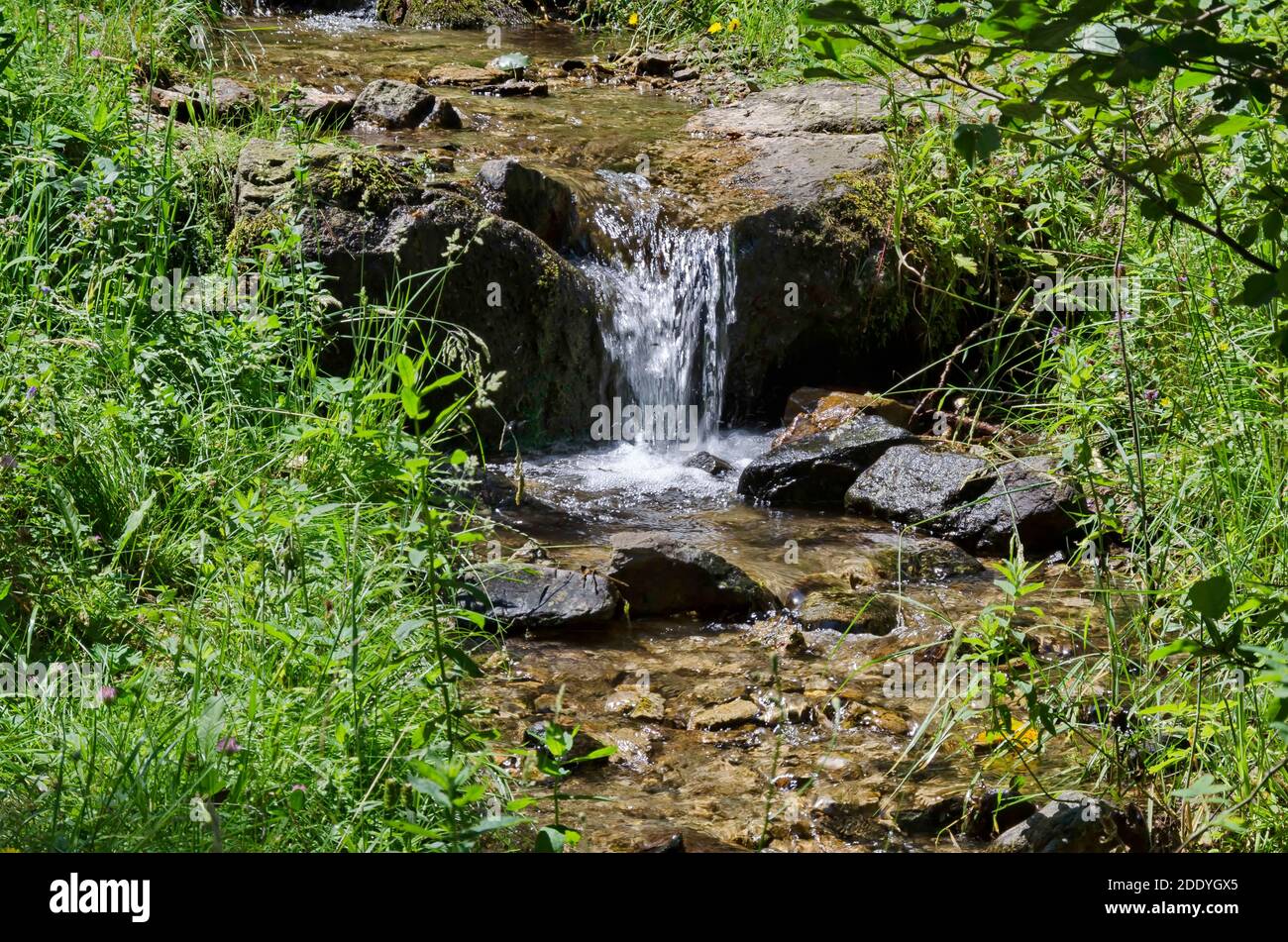 Wasserfall des Flusses Skakavitsa in Rila Berg, Bulgarien Stockfoto