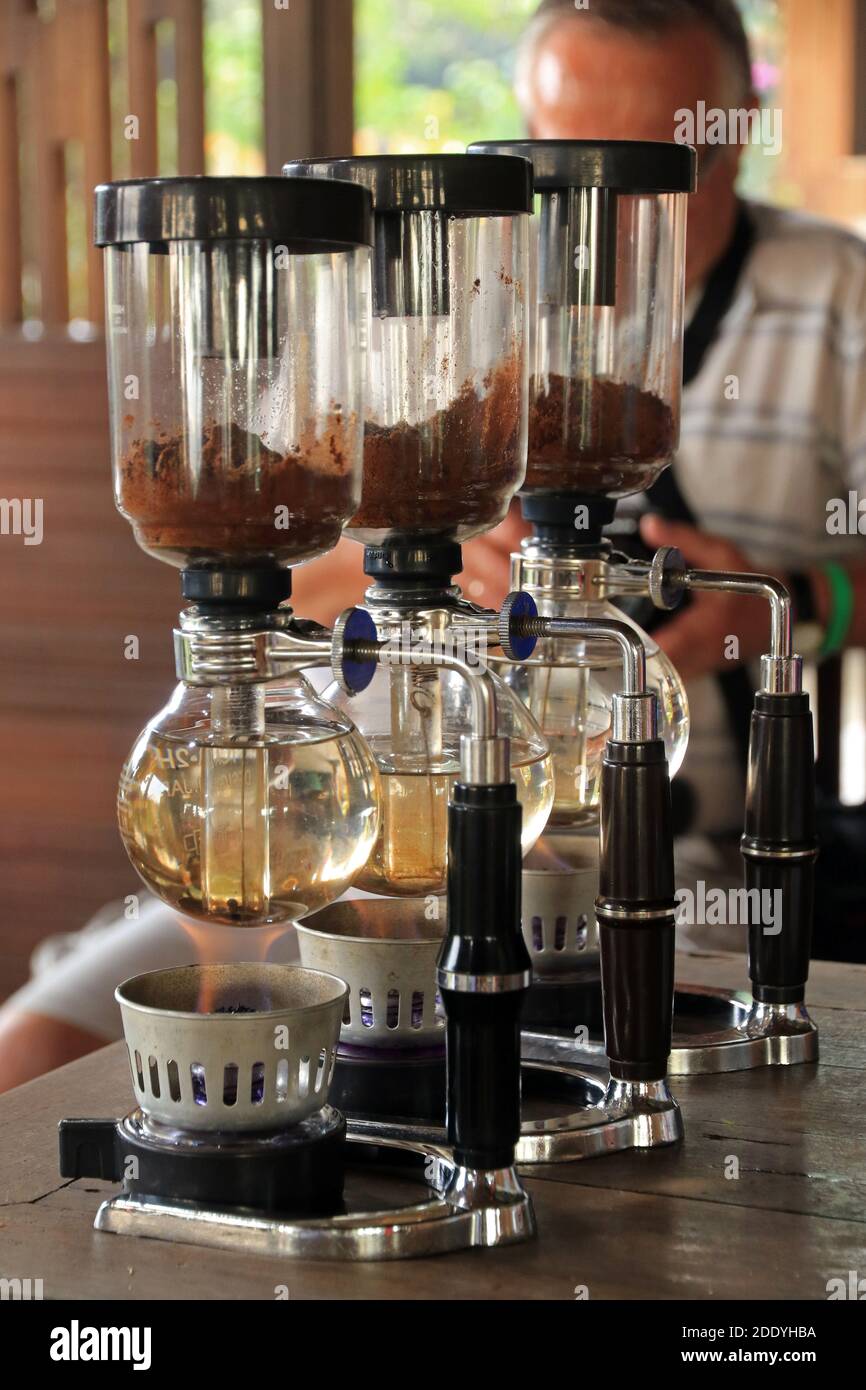 Kopi Luwak Kaffee, Bali, Indonesien Stockfoto