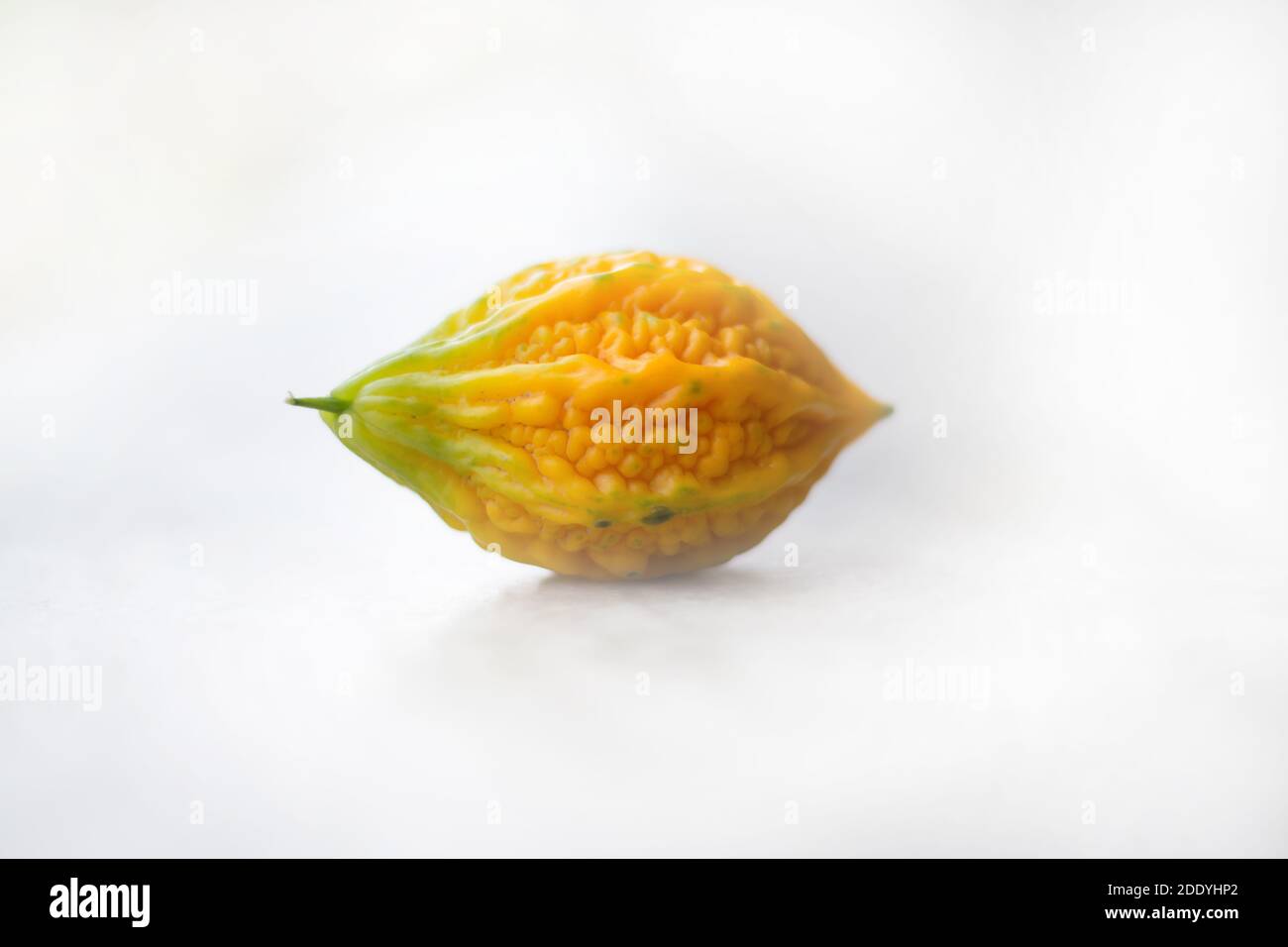 Nahaufnahme von gelben bitteren Kürbis mit isoliertem Hintergrund, das Gemüse, eine gesunde Ernährung und Medizin. Stockfoto