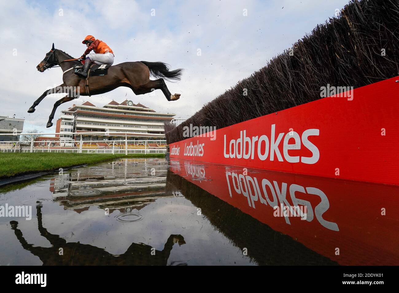 Schwer fassbare Belle von Sam Waley-Cohen geritten löscht den Wassersprung, bevor Sie auf die Ladbrokes Daily Odds Boosts Chase auf Newbury Racecourse zu gewinnen. Stockfoto