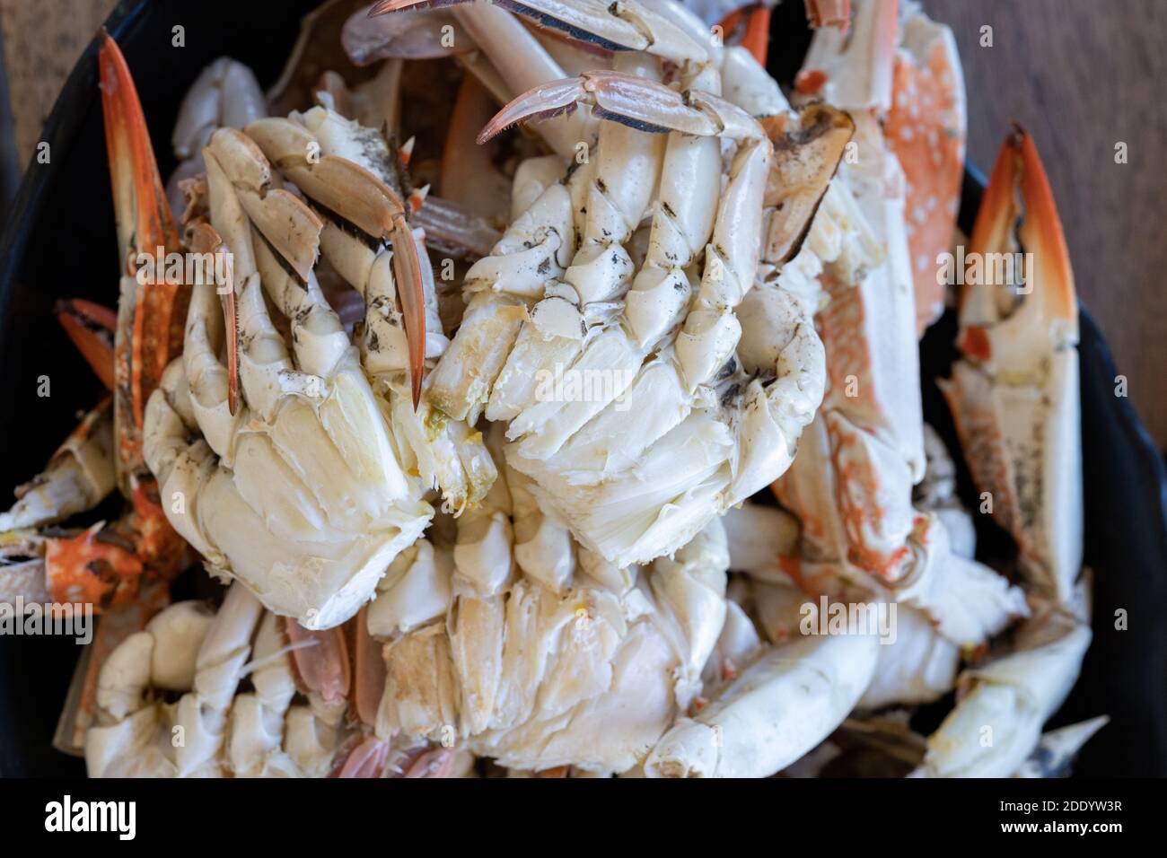 Nahaufnahme frisch gestreamte Krabben ist bereit, auf dem lokalen Restauranttisch zu essen. Stockfoto