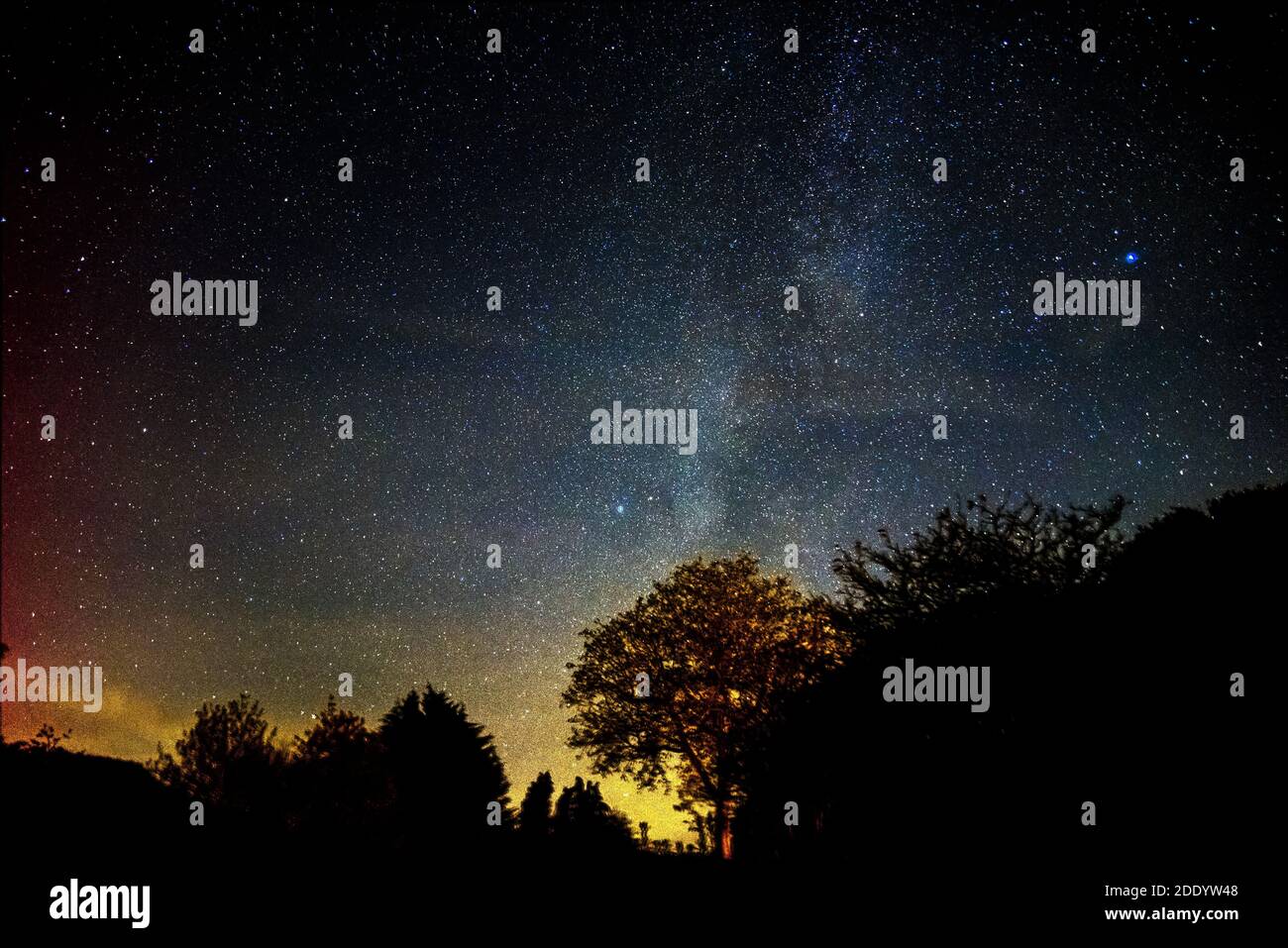 Sternenbild / Sternenfeld - Milchstraße und Sterne, Nachthimmel und Baum Silhouette Skyline, Südengland, UK Stockfoto