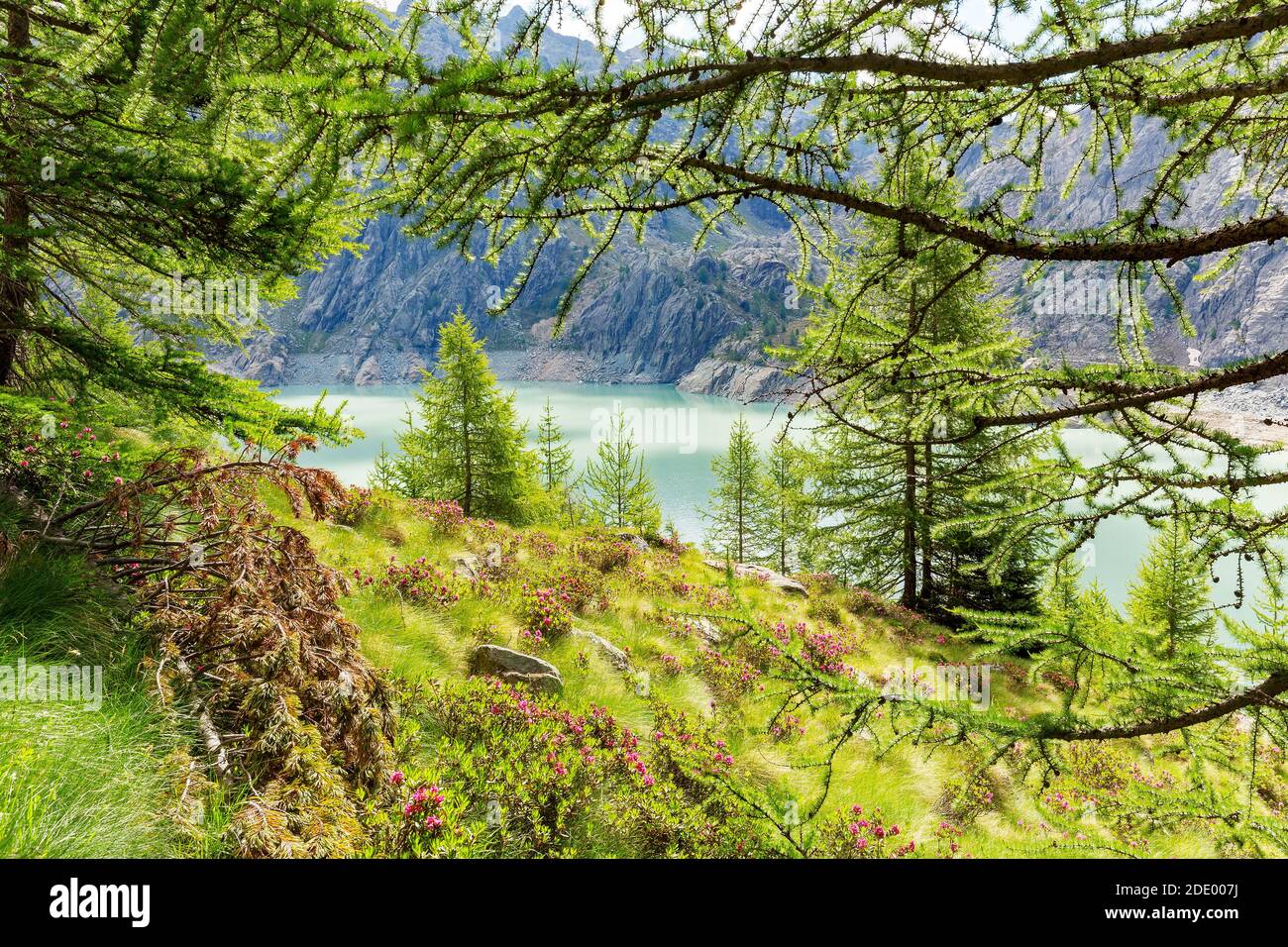 Sommer alpine Landschaft mit See am Boden Stockfoto