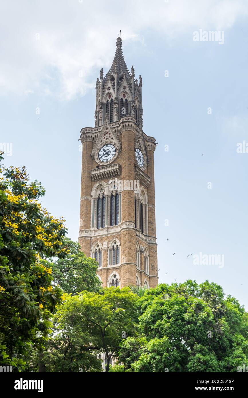 Uhrturm der Universität von Mumbai (Universität von Bombay), eine der ersten staatlichen Universitäten Indiens und die älteste in Maharashtra. Stockfoto