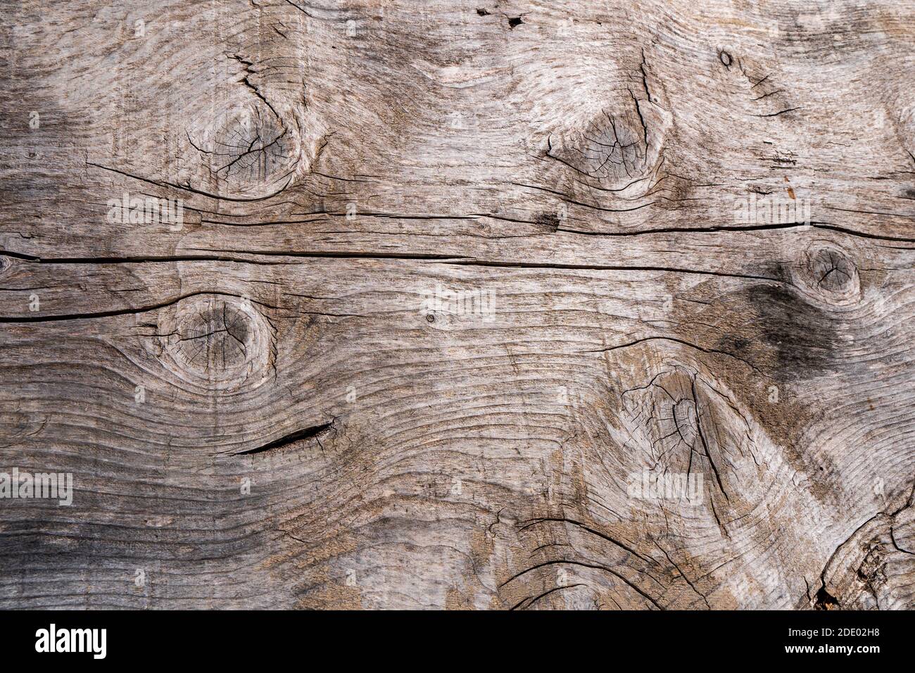 rustikale Scheune verwitterte Holz Hintergrund mit Knoten und Nagellöcher Stockfoto