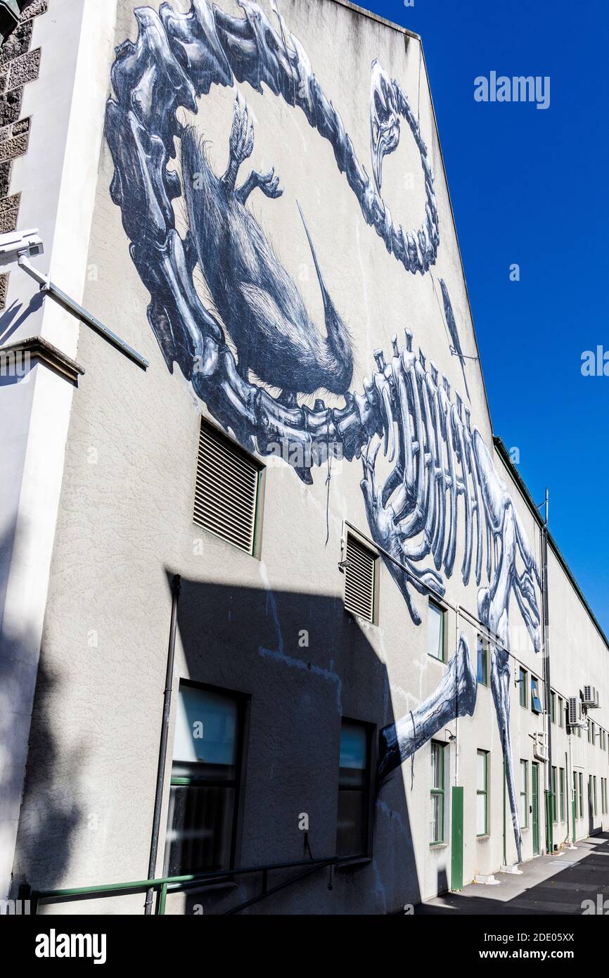 Einheimische Vögel, die von der Künstlerin Roa im Kreislauf von Leben und Tod gezeigt werden. Im Canterbury Museum, Christchurch, Neuseeland. Rise Festival 2014. Stockfoto