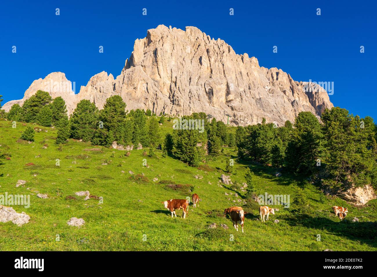 Blick auf Berge und grasende Kühe in Sella Pass, Dolomiten Alpen, Trentino Südtirol Südtirol, Italien, Europa Stockfoto