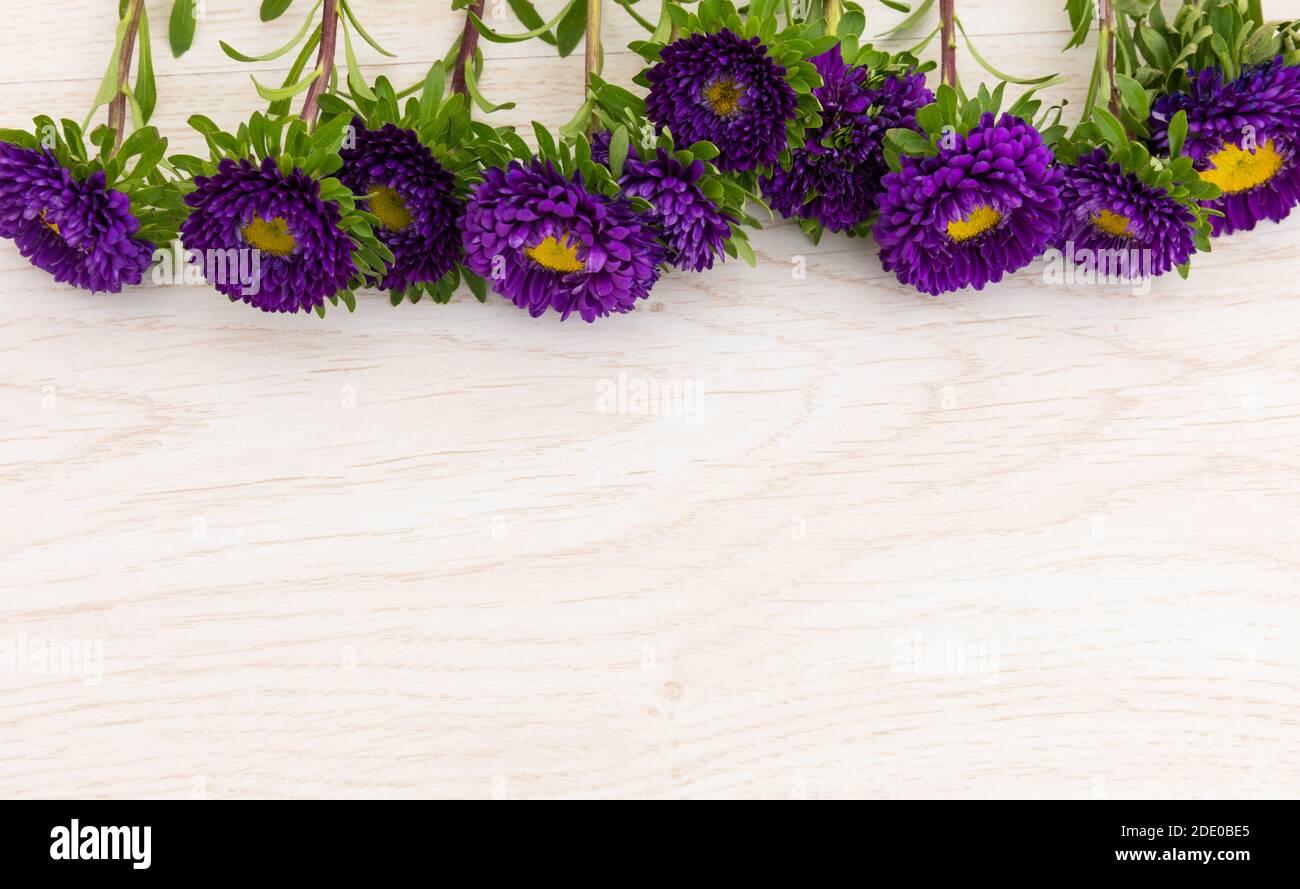 Lila Blüten in einer Reihe an der Spitze auf Holz Hintergrund Stockfoto