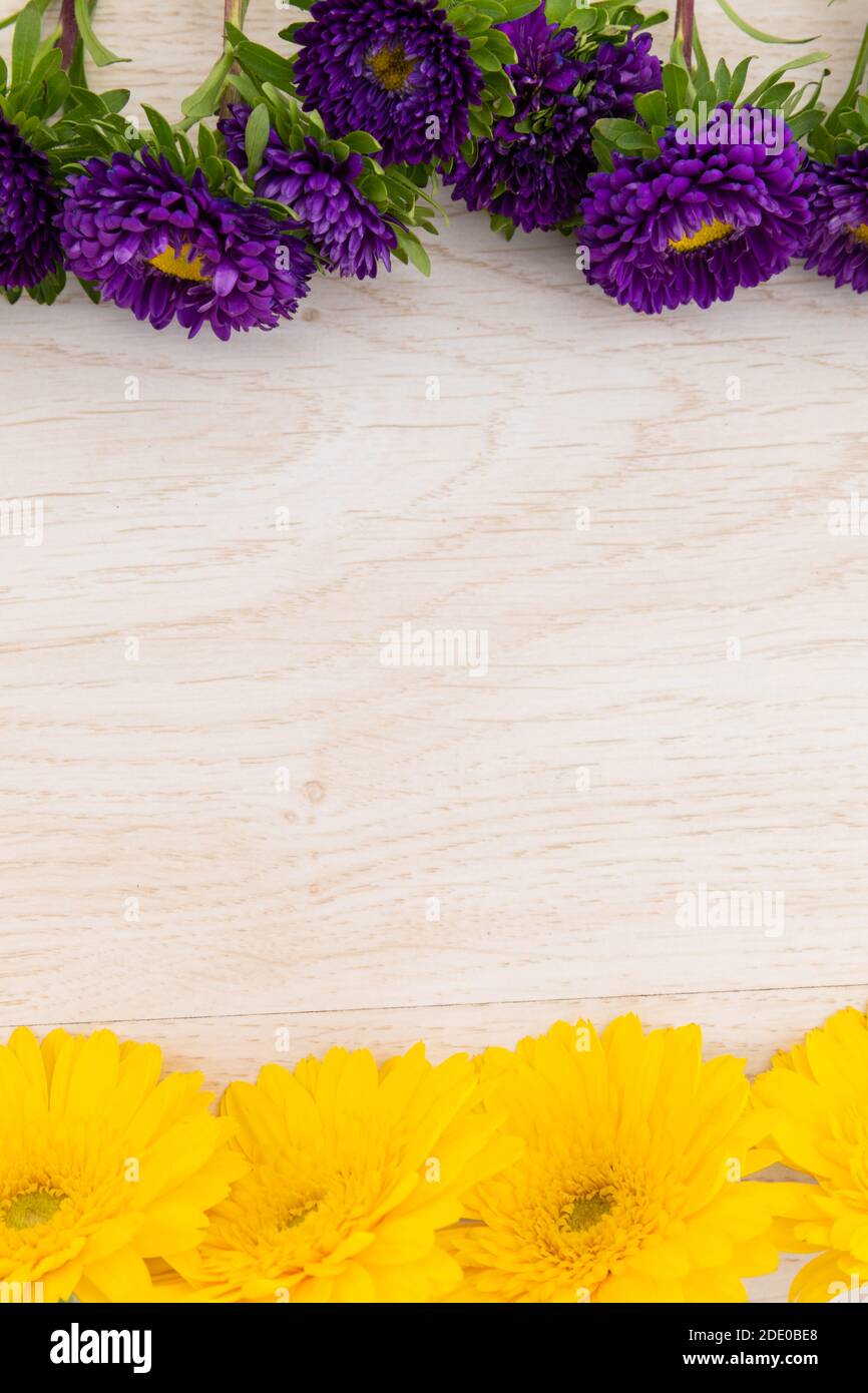 Gelbe und lila Blüten oben und unten auf Holz Hintergrund Stockfoto