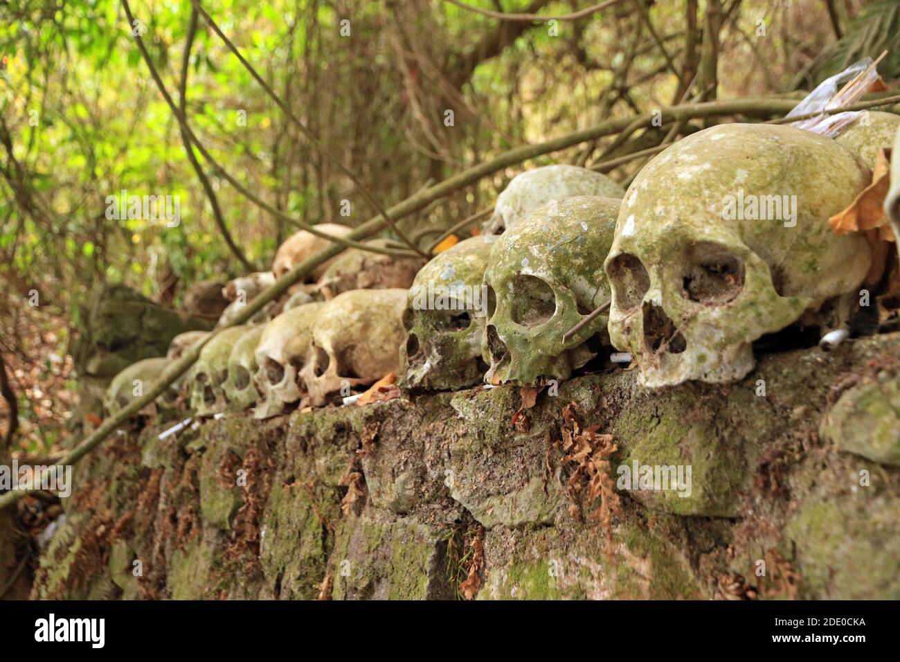 Schädel auf dem Friedhof in Trunyan Dorf, Batur See, Bali, Indonesien Stockfoto