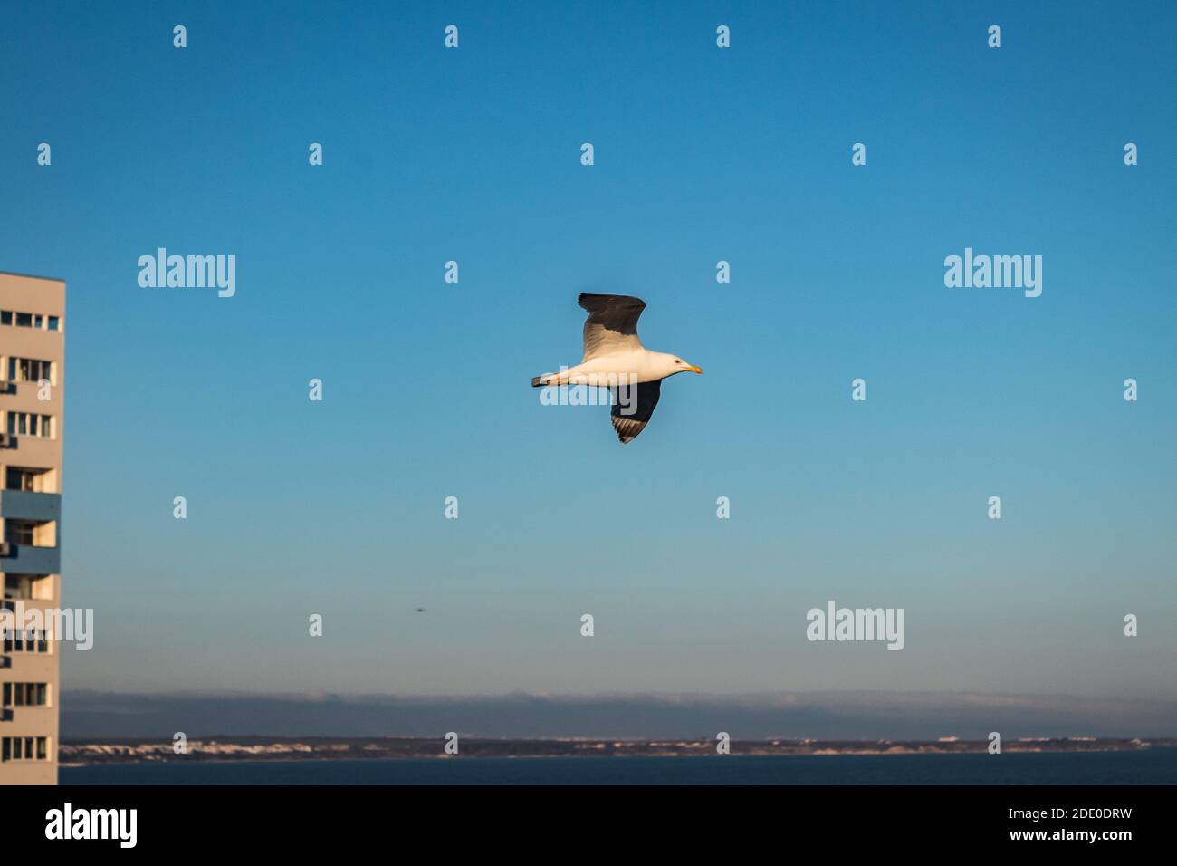 Meer und Himmel in der Ferne Stockfoto