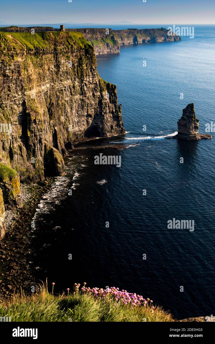 Cliffs of Moher, Co. Clare, Wild Atlantic Way, Irland, Sonnenuntergang, Stockfoto