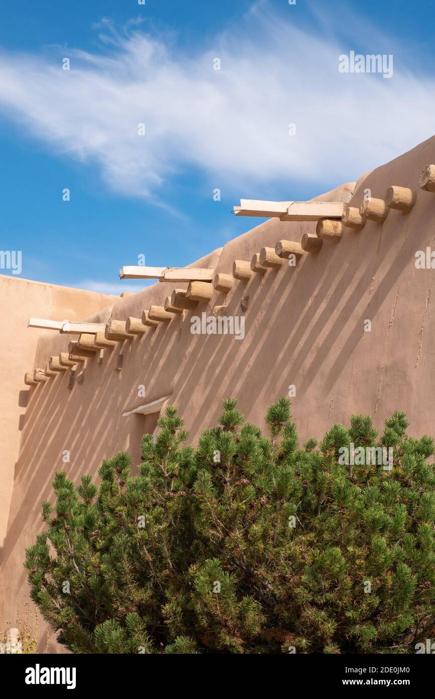 Eine Kiefer, die an der Wand der adobe Missionskirche von San Francisco de Asis wächst - St. Francis of Assissi - in Ranchos de Taos, New Mexico, USA Stockfoto