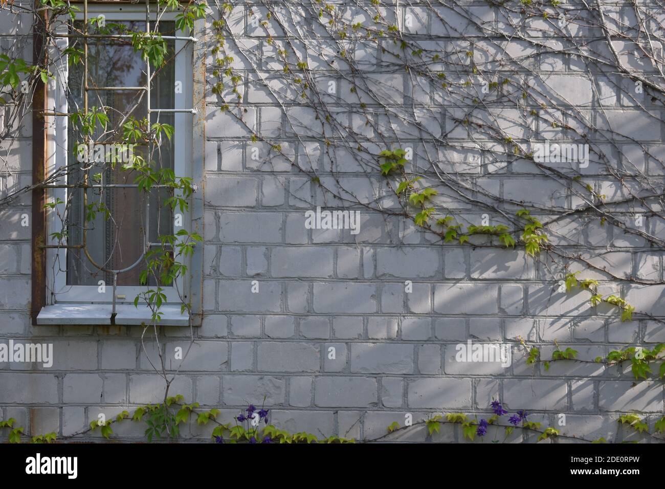 Teich Werkzeuge Stockfotos Und Bilder Kaufen Alamy